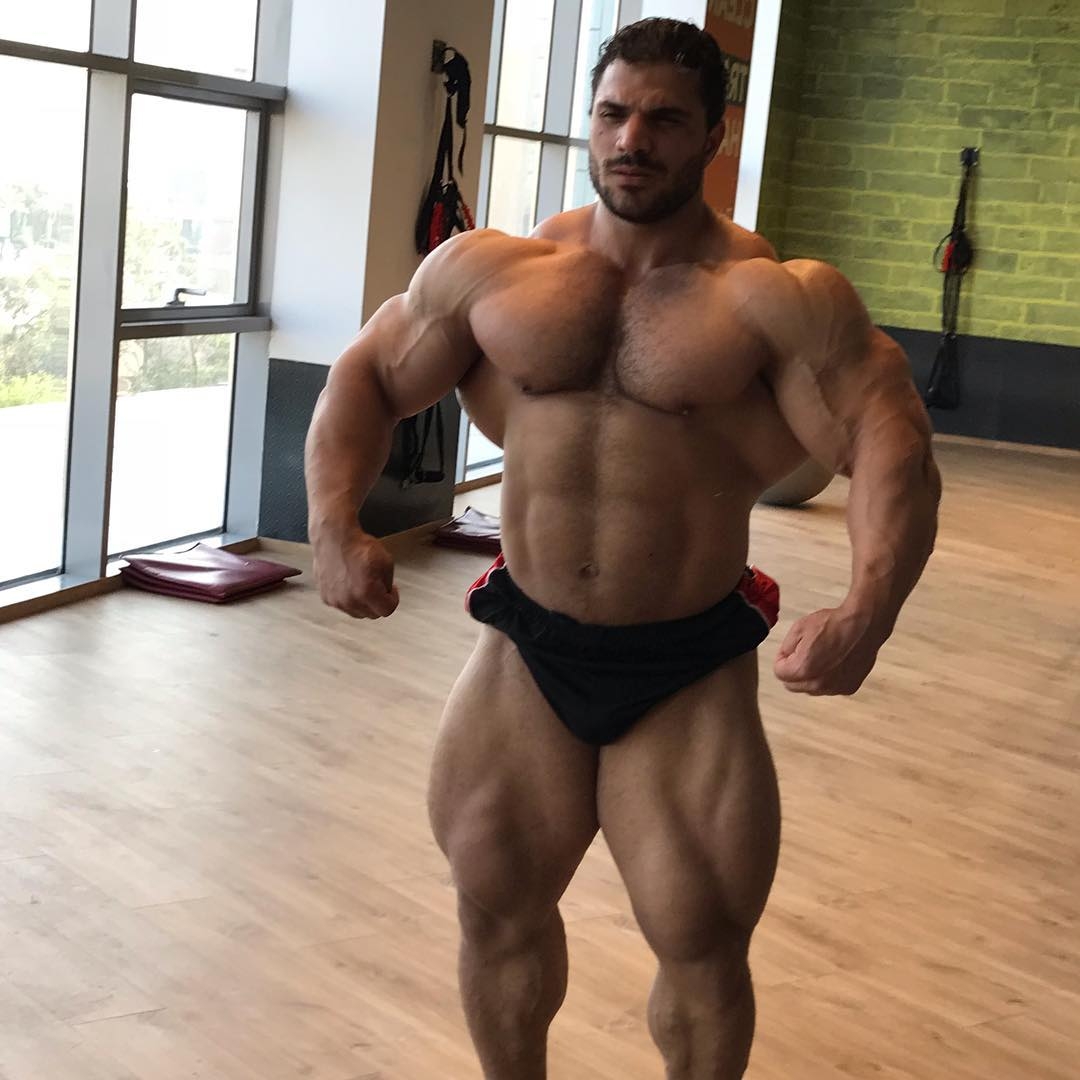 Хассан Мостафа готовится к про-дебюту на Wings of Strength Romania Muscle Fest Pro - Бодибилдинг форум AnabolicShops