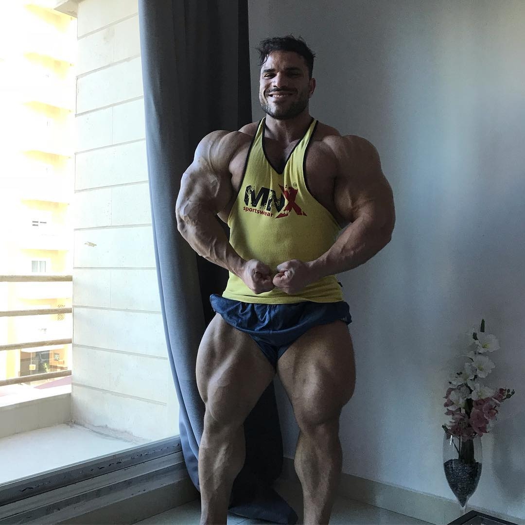 Хассан Мостафа готовится к про-дебюту на Wings of Strength Romania Muscle Fest Pro - Бодибилдинг форум AnabolicShops