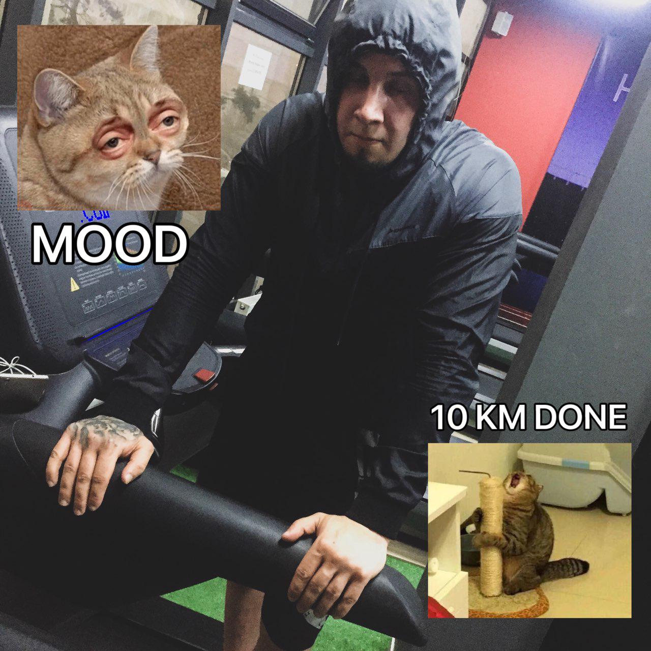 Сено, дорога к кругосветке! - Бодибилдинг форум AnabolicShops