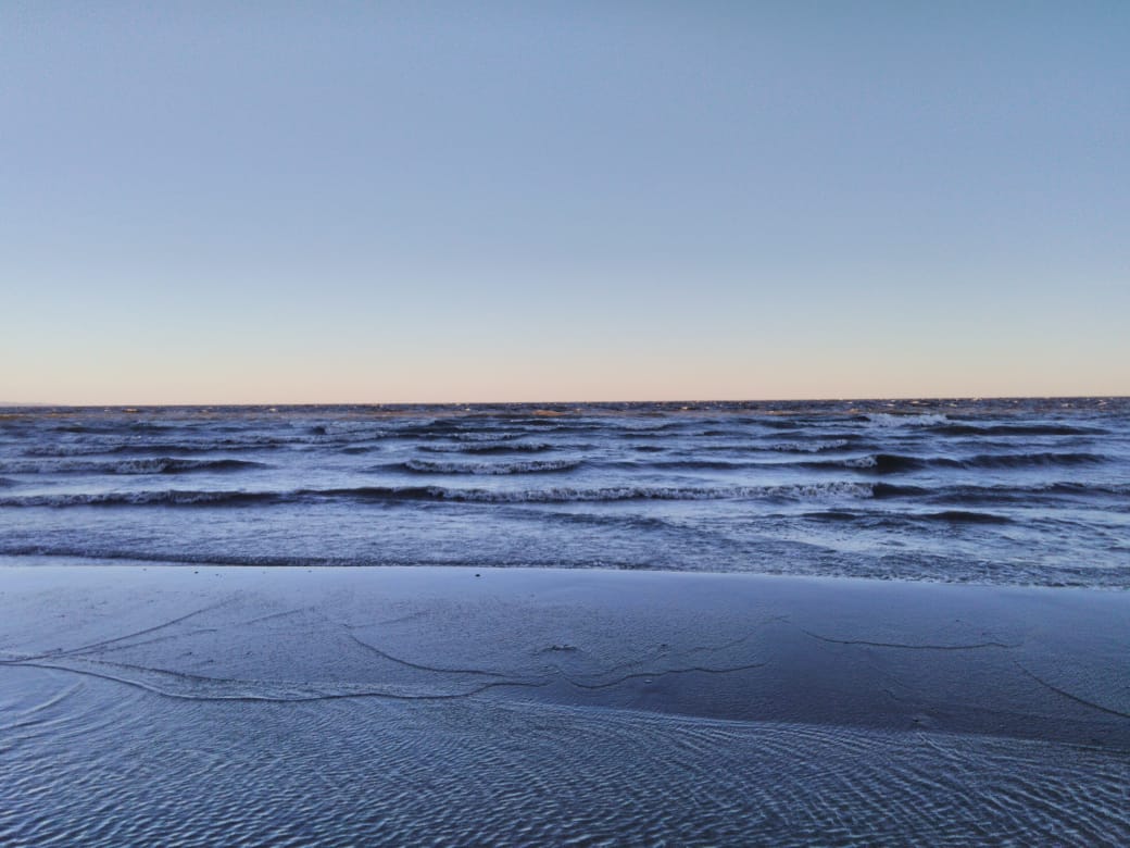 Johnny-Shop.info - Бодибилдинг форум AnabolicShops