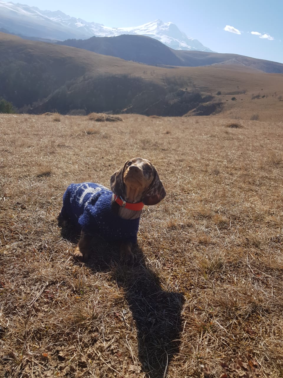 IndiaGenericPower- магазин ПКТ! - Бодибилдинг форум AnabolicShops