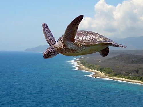 Johnny-Shop.info - Бодибилдинг форум AnabolicShops