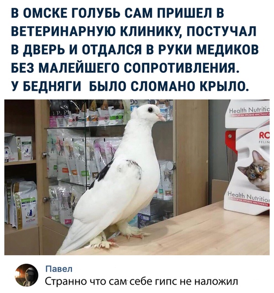 Курилка- разговоры на любые темы - Бодибилдинг форум AnabolicShops