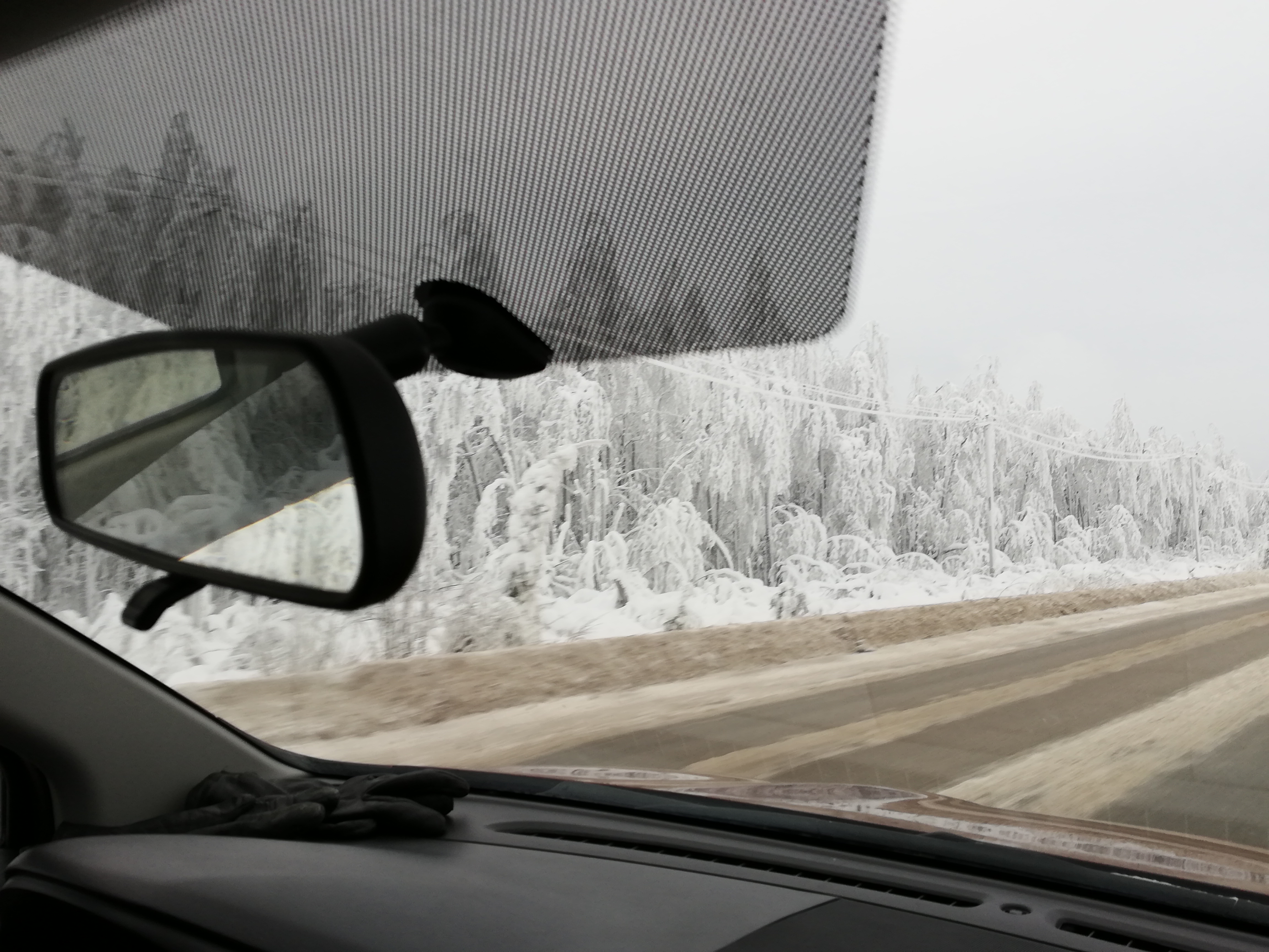 Stark.K и Тутси - Бодибилдинг форум AnabolicShops