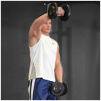 Упражнение для тренировки плеч Подъемы гантелей перед собой - Бодибилдинг форум AnabolicShops