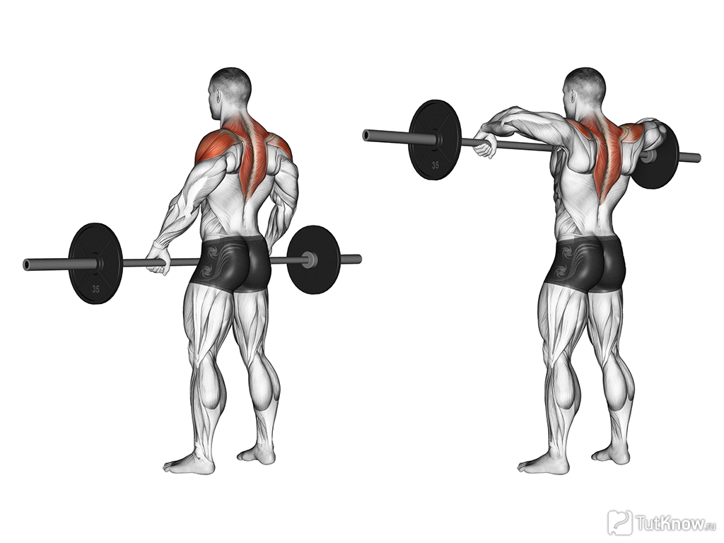 Упражнения на среднюю дельту - Бодибилдинг форум AnabolicShops
