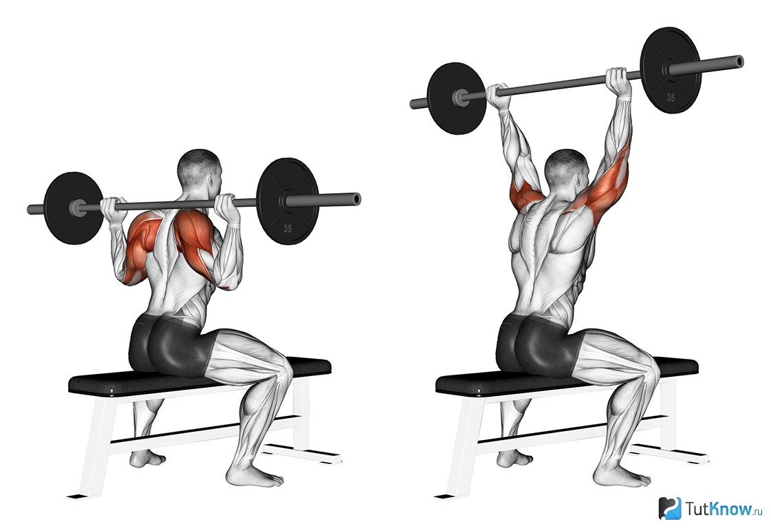 Упражнения на среднюю дельту - Бодибилдинг форум AnabolicShops