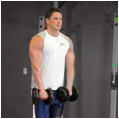 Упражнение для тренировки плеч Подъемы гантелей перед собой - Бодибилдинг форум AnabolicShops