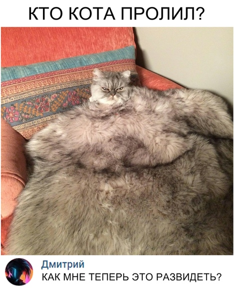 Курилка- разговоры на любые темы - Бодибилдинг форум AnabolicShops