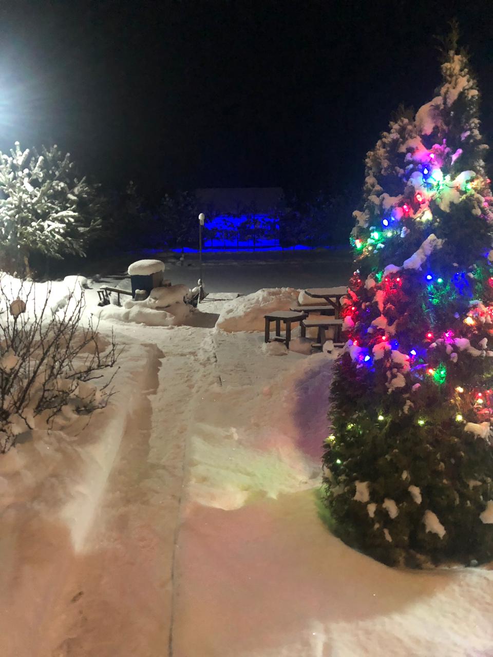 Barss и Vichka, one love - one power - Бодибилдинг форум AnabolicShops