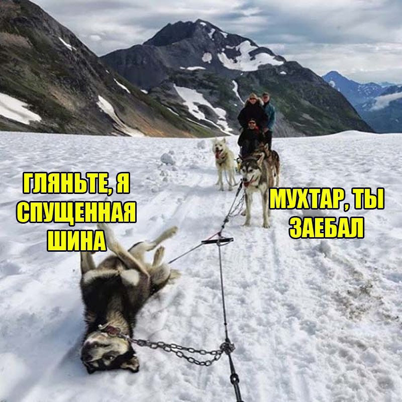 Курилка- разговоры на любые темы - Бодибилдинг форум AnabolicShops