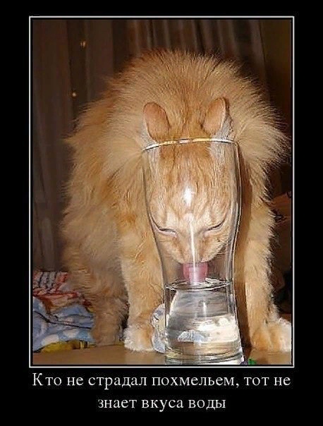 Курилка- разговоры на любые темы - Бодибилдинг форум AnabolicShops