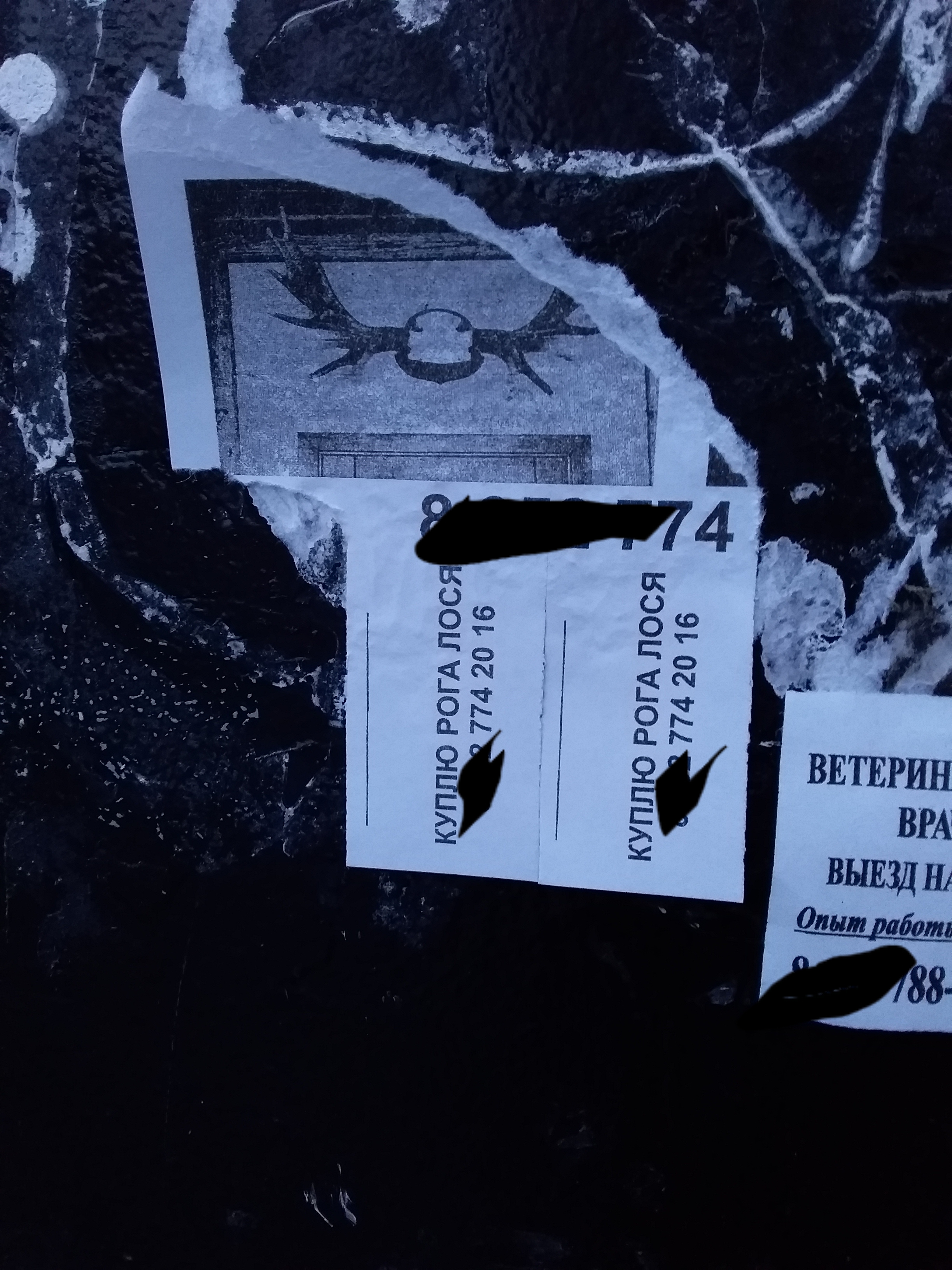 Курилка- разговоры на любые темы - Бодибилдинг форум AnabolicShops