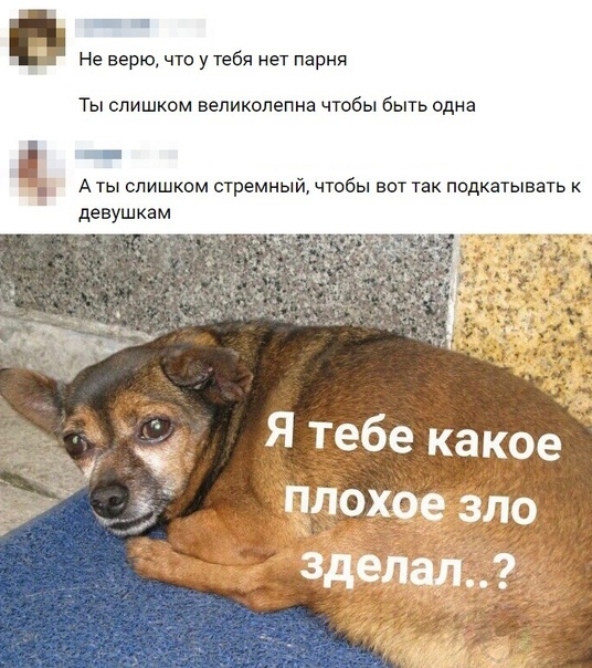 Курилка- разговоры на любые темы - Бодибилдинг форум AnabolicShops