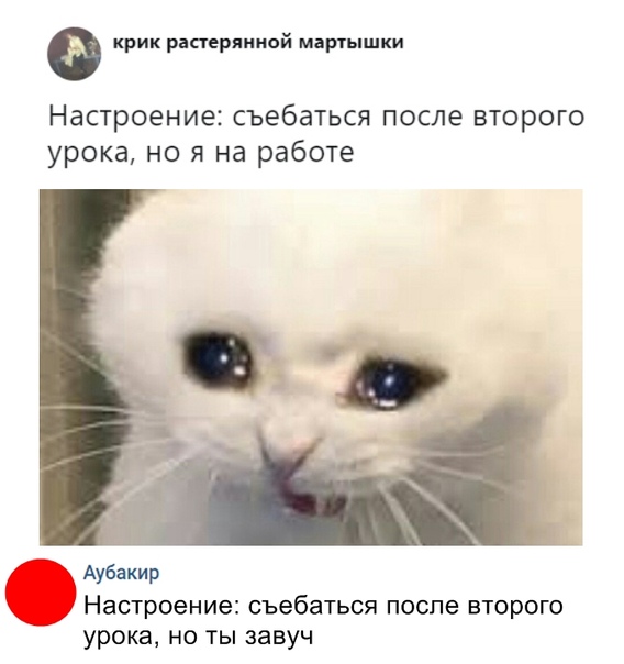 Курилка- разговоры на любые темы - Бодибилдинг форум AnabolicShops