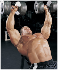 Добавьте объема мышцам рук и груди с помощью методики тренировок от Джея Катлера - Бодибилдинг форум AnabolicShops