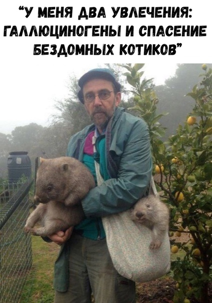 Курилка- разговоры на любые темы - Бодибилдинг форум AnabolicShops