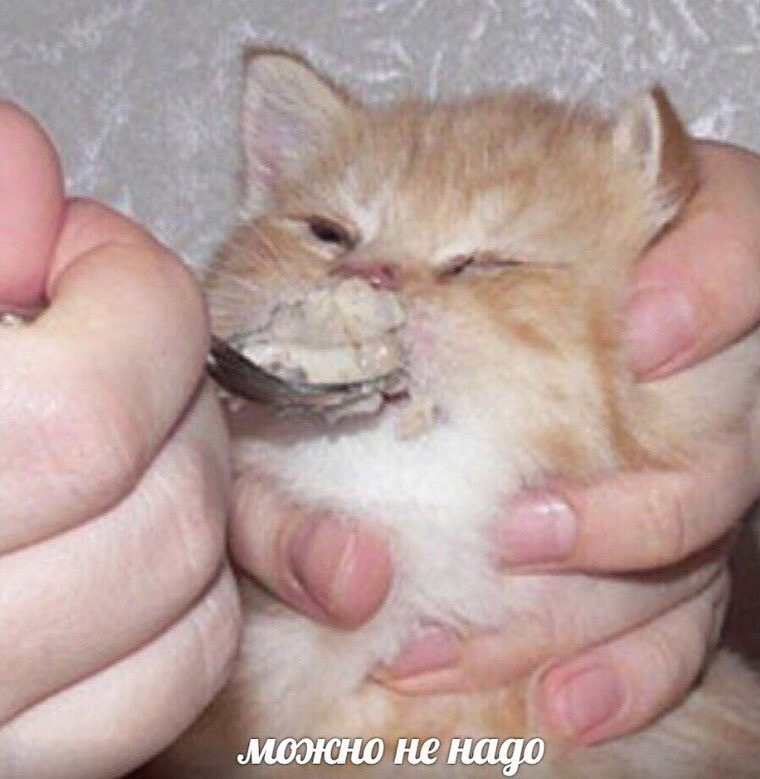 ПВРЛФТНГ Mr. Rikoshet бложик 2.0 - Бодибилдинг форум AnabolicShops