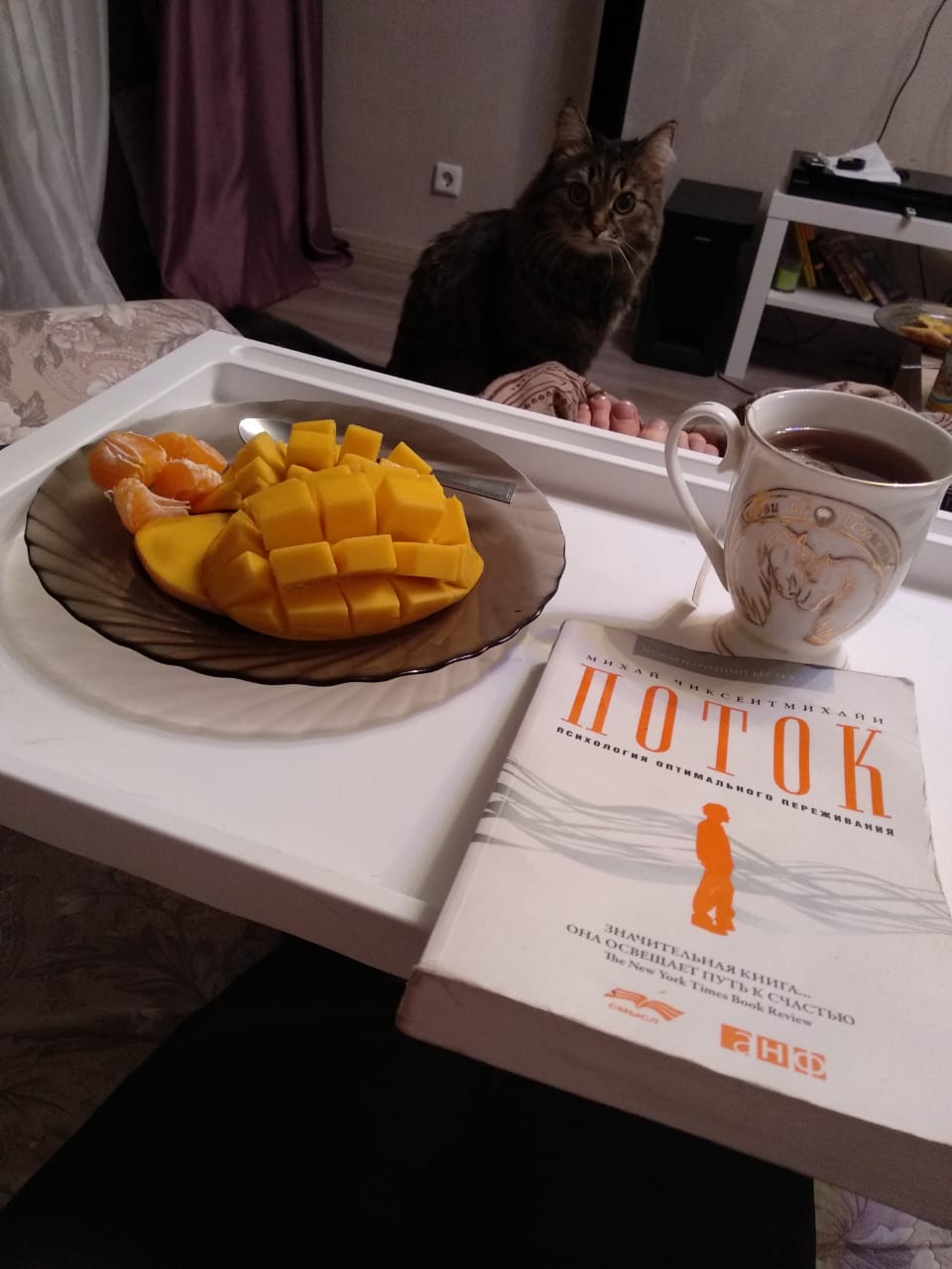 Ardent и Mayskaya - взрывная парочка на сушке - Бодибилдинг форум AnabolicShops