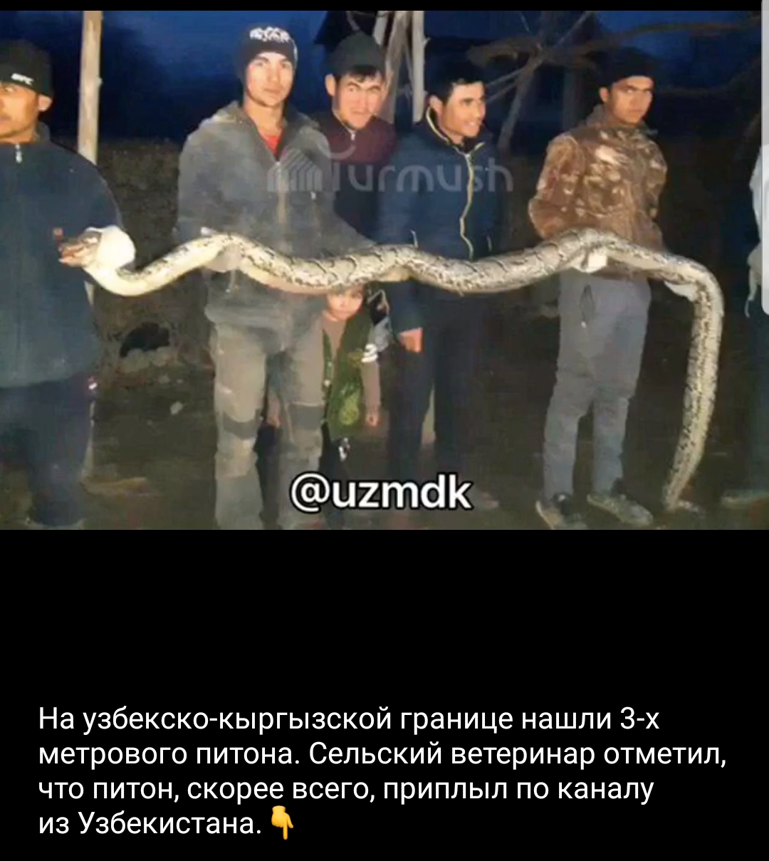 Внимание! Новая Федерация Бодибилдинга в России! - Бодибилдинг форум AnabolicShops