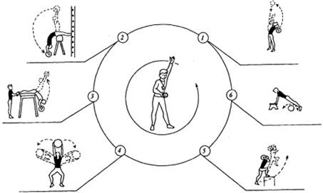 Ardent и Mayskaya - взрывная парочка на сушке - Бодибилдинг форум AnabolicShops