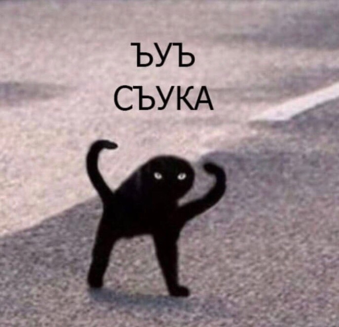 ПВРЛФТНГ Mr. Rikoshet бложик 2.0 - Бодибилдинг форум AnabolicShops