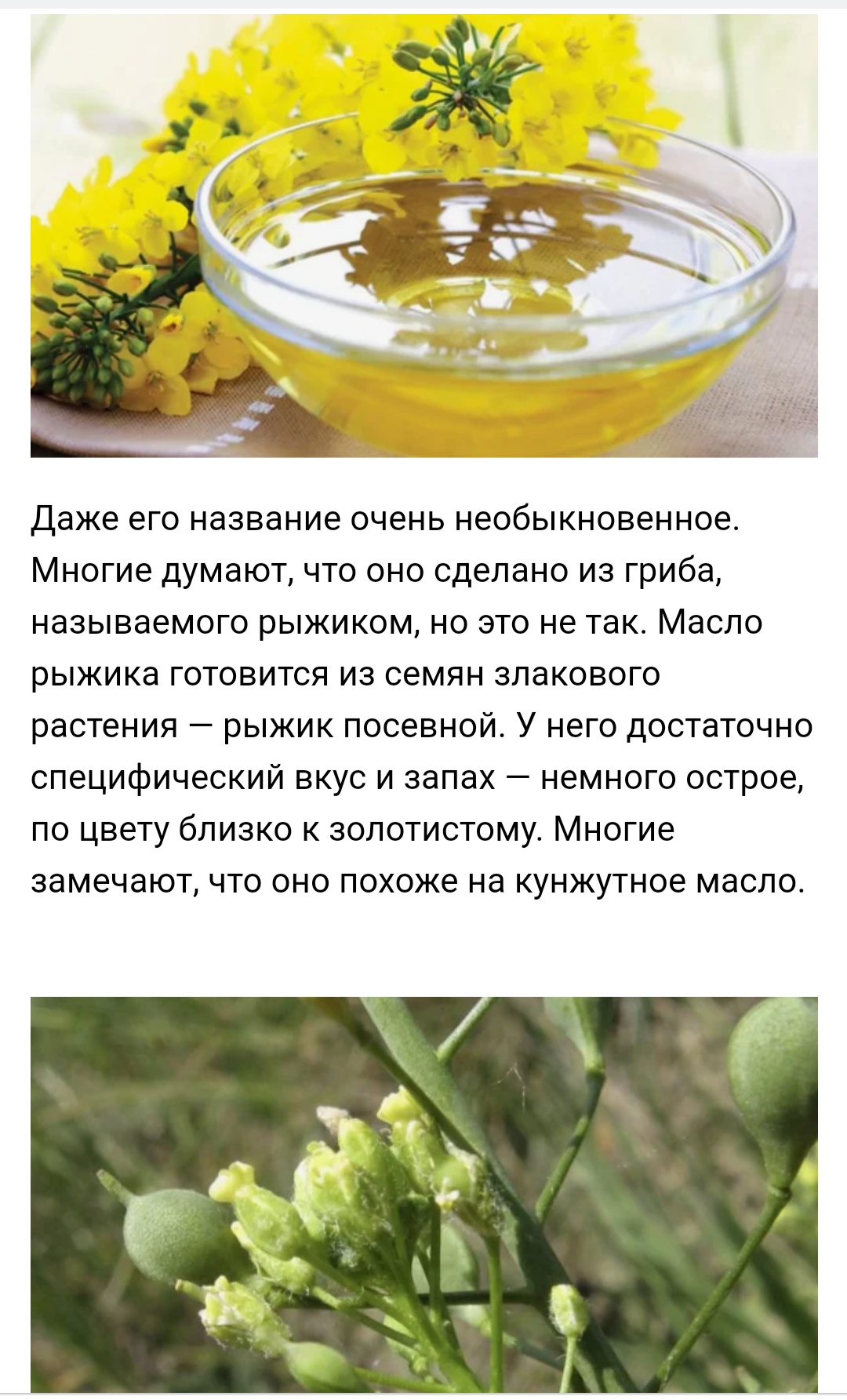 Kain & Valkery "Операция Тай" - Бодибилдинг форум AnabolicShops