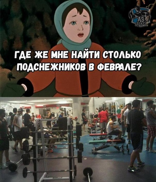 Курилка- разговоры на любые темы - Бодибилдинг форум AnabolicShops