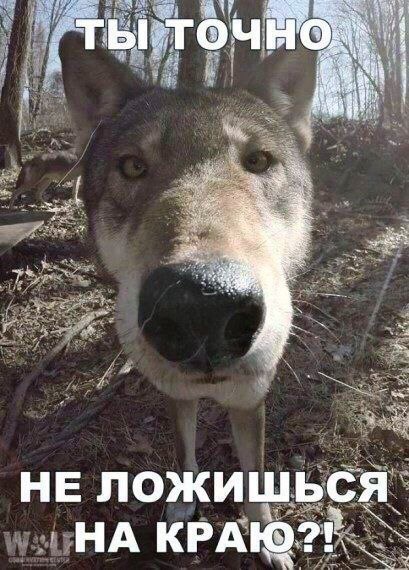 Курилка- разговоры на любые темы - Бодибилдинг форум AnabolicShops