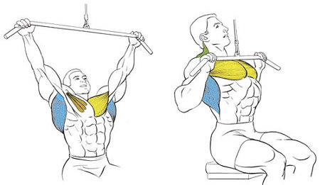 Тяга блока - Бодибилдинг форум AnabolicShops