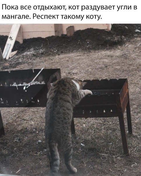 Курилка- разговоры на любые темы - Бодибилдинг форум AnabolicShops