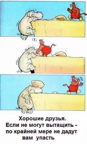 Эстрогеновые войска - Бодибилдинг форум AnabolicShops