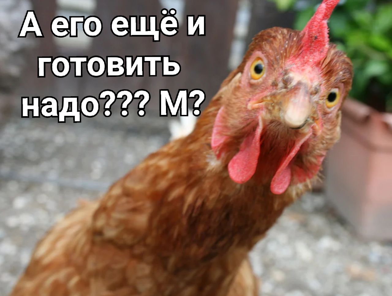 Интернет Магазин nadopinge.com - Бодибилдинг форум AnabolicShops