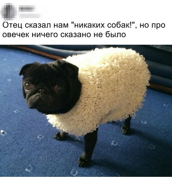 Курилка- разговоры на любые темы - Бодибилдинг форум AnabolicShops