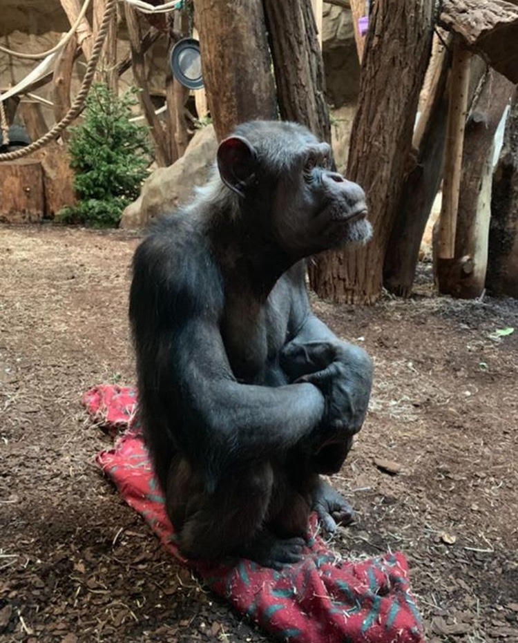 Эстрогеновые войска - Бодибилдинг форум AnabolicShops