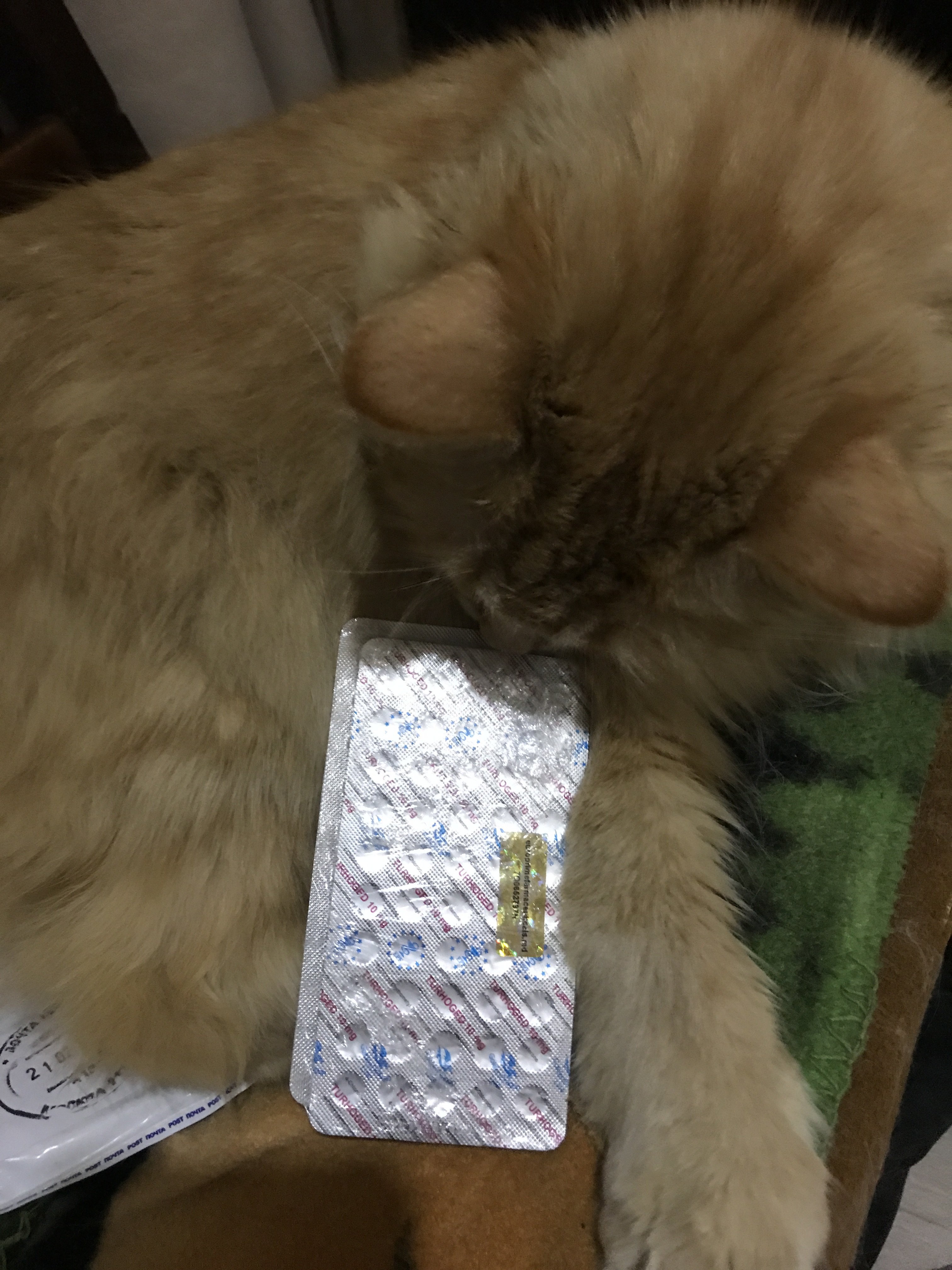 GerthShop.la - магазин спортивной фармакологии N1! - Бодибилдинг форум AnabolicShops