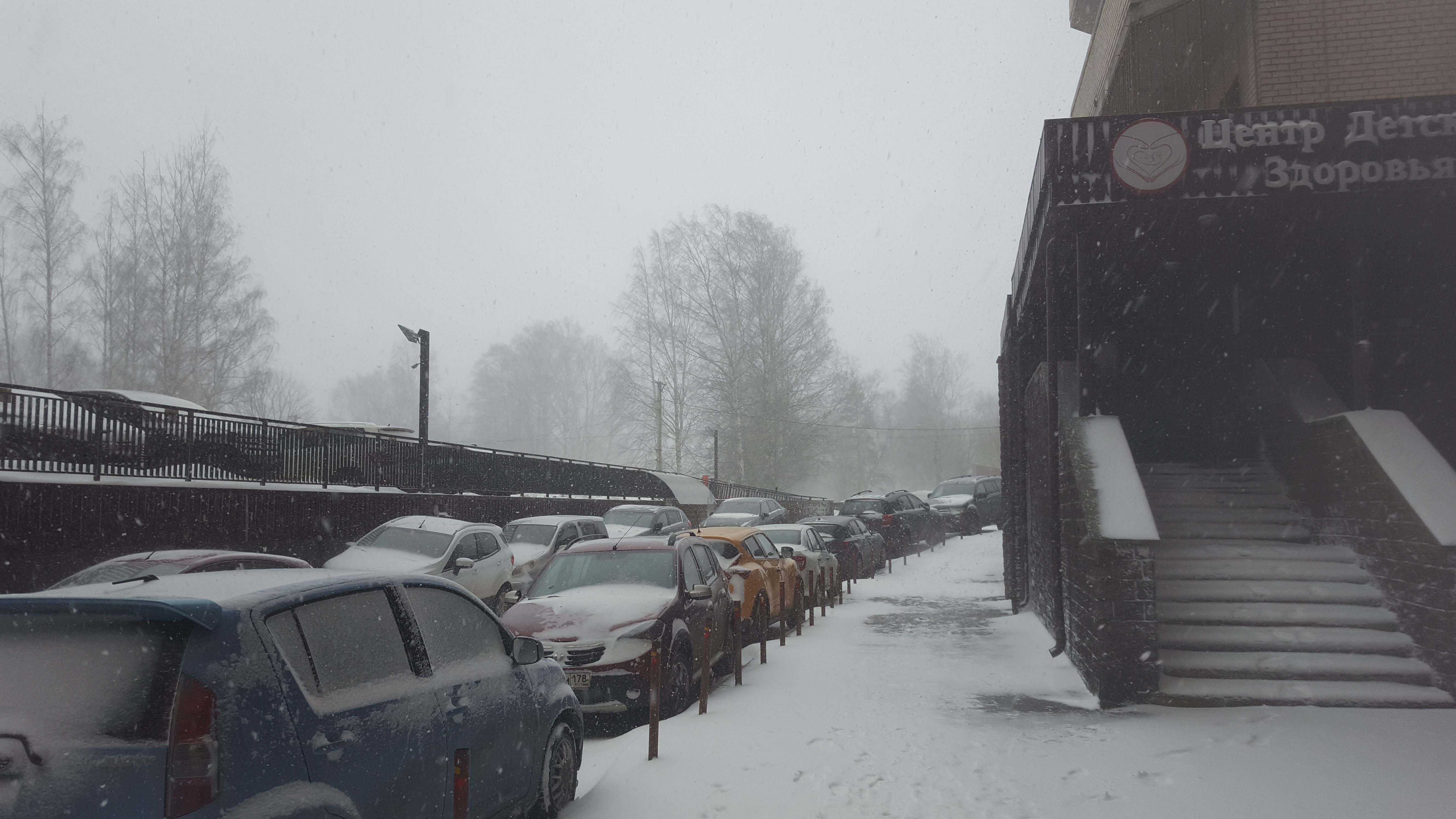 Курилка- разговоры на любые темы - Бодибилдинг форум AnabolicShops