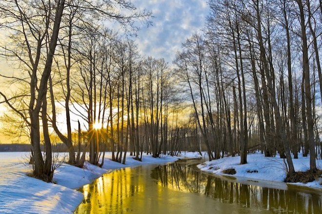 Genetrip Market - Всё для потенции, секса и пкт! - Бодибилдинг форум AnabolicShops