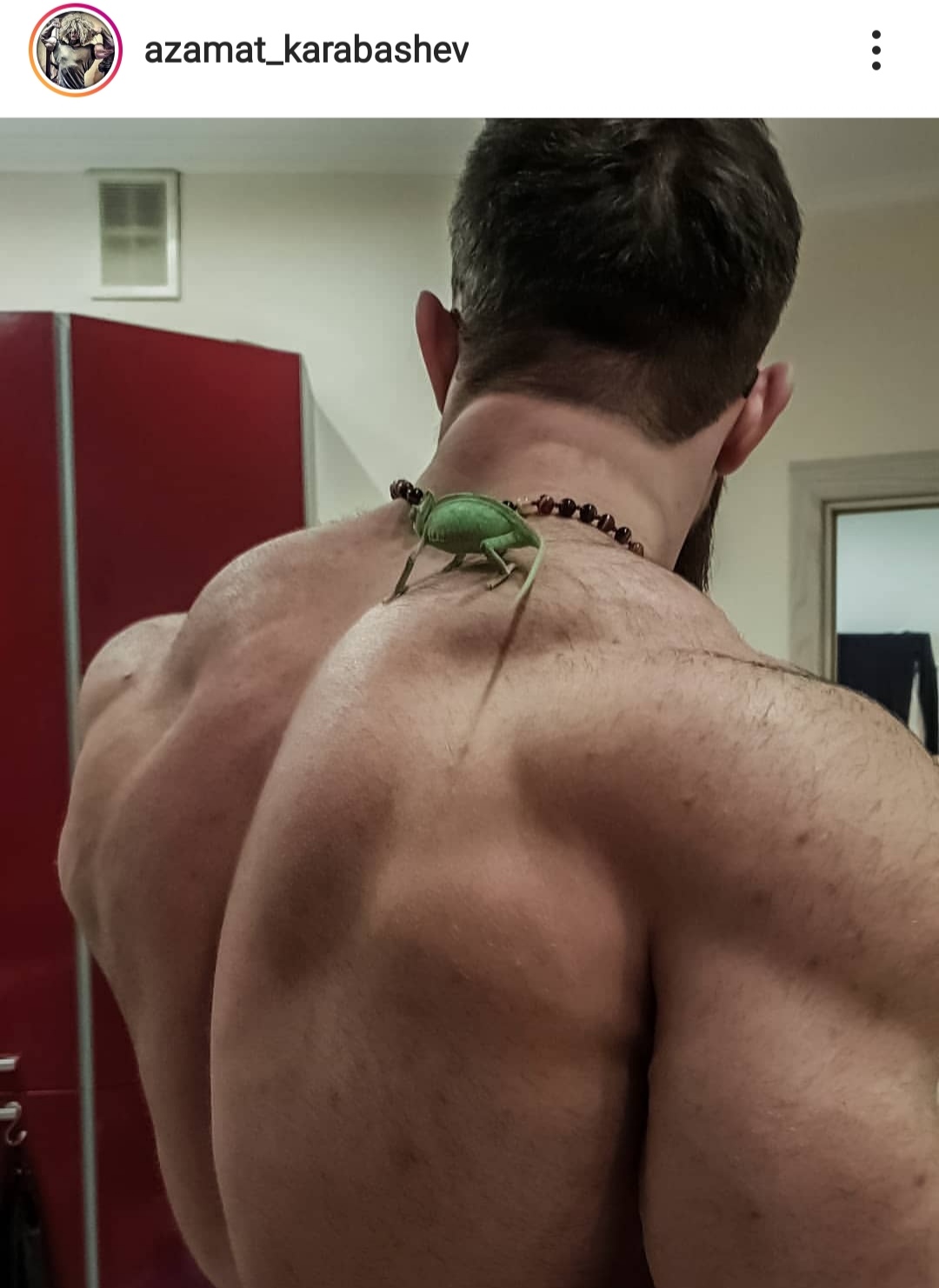 Эстрогеновые войска - Бодибилдинг форум AnabolicShops