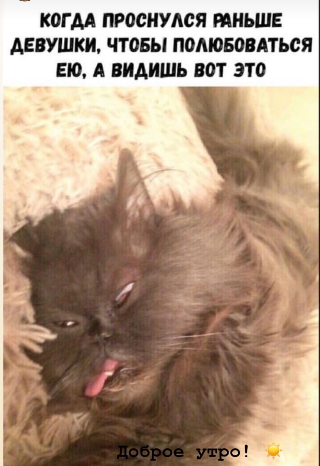 Эстрогеновые войска - Бодибилдинг форум AnabolicShops