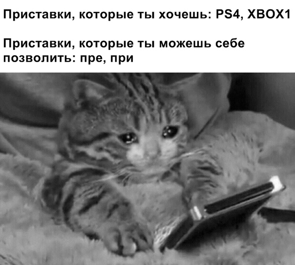 Анекдоты обо всем - Бодибилдинг форум AnabolicShops