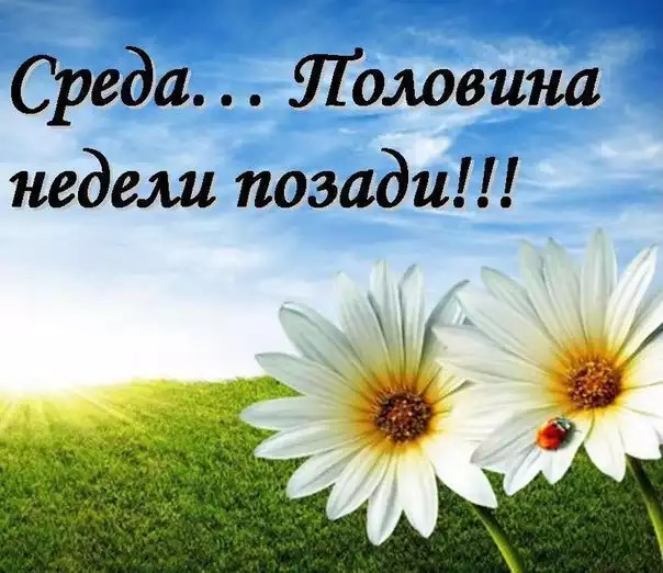 Homosteron.com оф.дилер Zphc|CanadaPeptides|Ergo Mrc - Бодибилдинг форум AnabolicShops