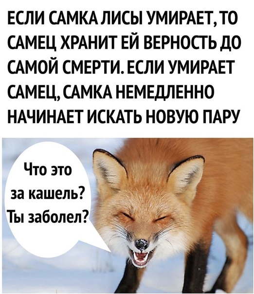 Анекдоты обо всем - Бодибилдинг форум AnabolicShops