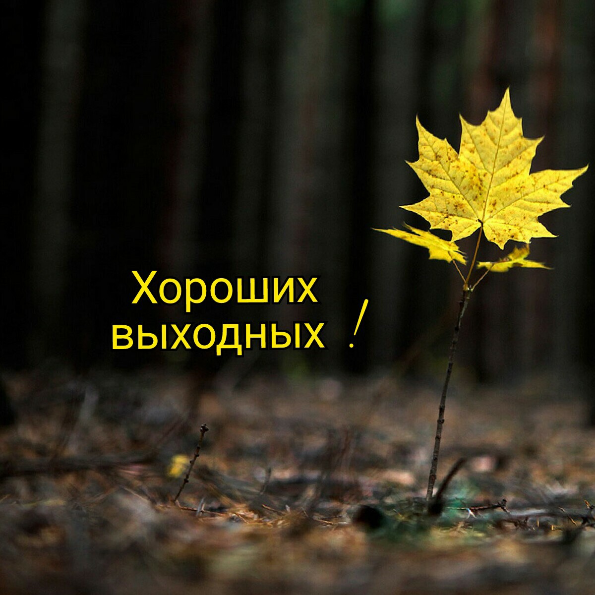 Homosteron.com оф.дилер Zphc|CanadaPeptides|Ergo Mrc - Бодибилдинг форум AnabolicShops