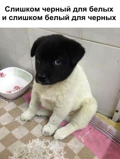 Курилка- разговоры на любые темы - Бодибилдинг форум AnabolicShops