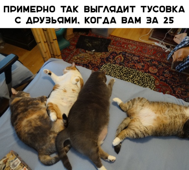 Курилка- разговоры на любые темы - Бодибилдинг форум AnabolicShops