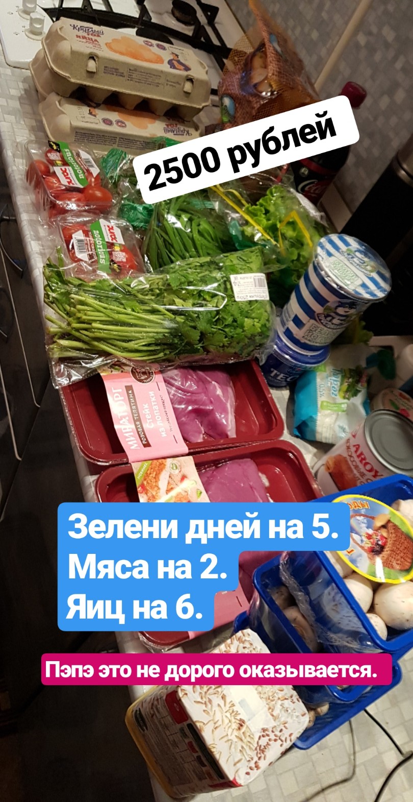 Форма на каждый день iCool by  Adam Team - Бодибилдинг форум AnabolicShops