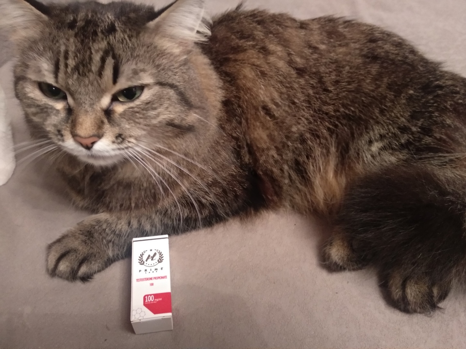 Metanhouse.biz - временно не заказывать! - Бодибилдинг форум AnabolicShops