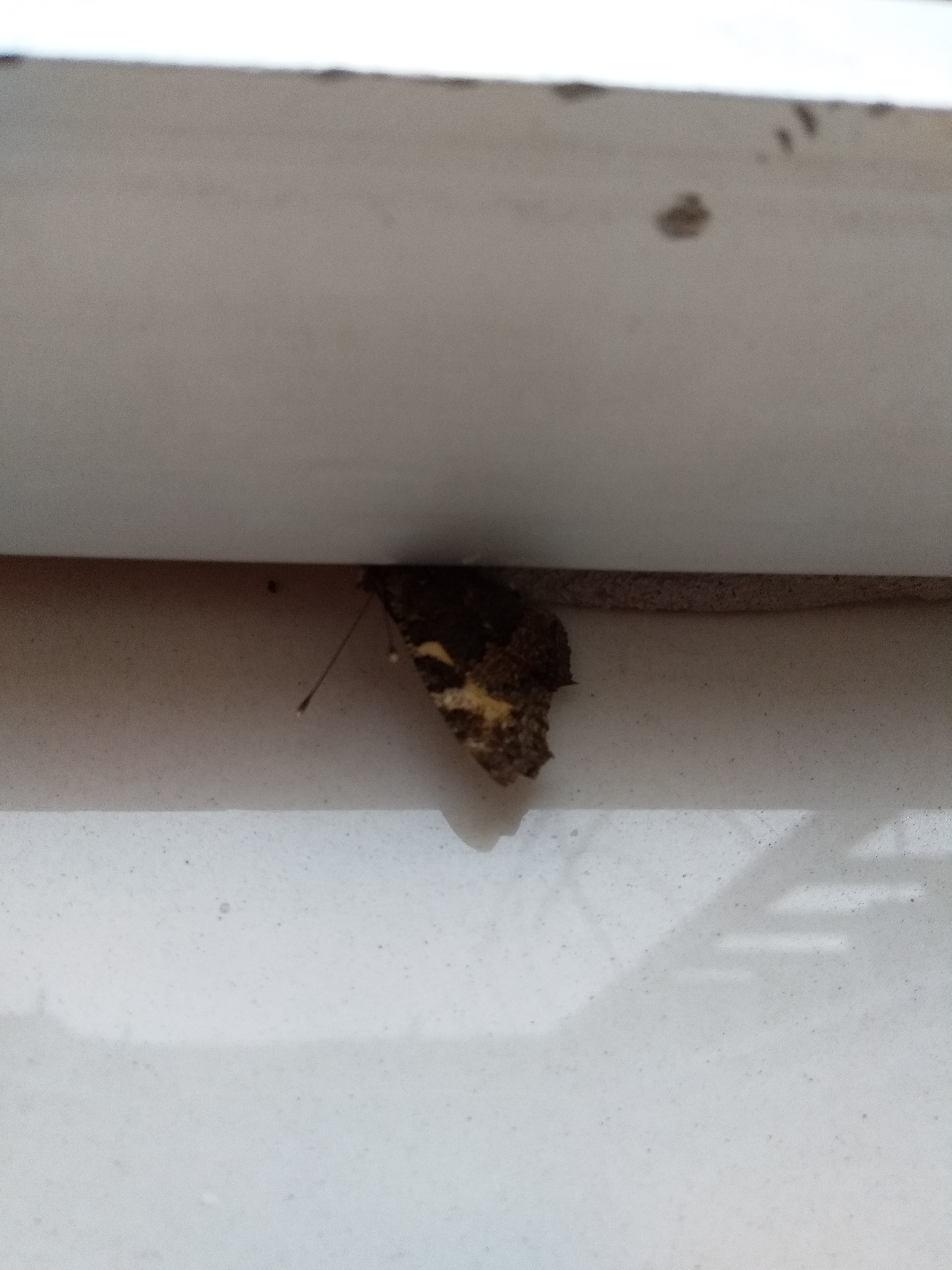 Курилка- разговоры на любые темы - Бодибилдинг форум AnabolicShops