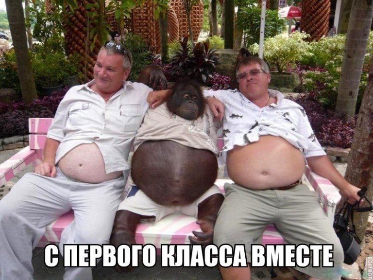 Курилка- разговоры на любые темы - Бодибилдинг форум AnabolicShops